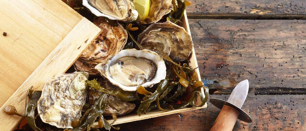 Austernmesser im Test: neben einer Kiste mit Austern liegt ein Austernmesser