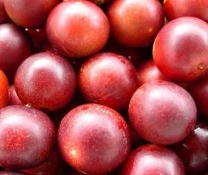 Camu Camu Test: Nahaufnahme reifer Camu Camu Beeren. 