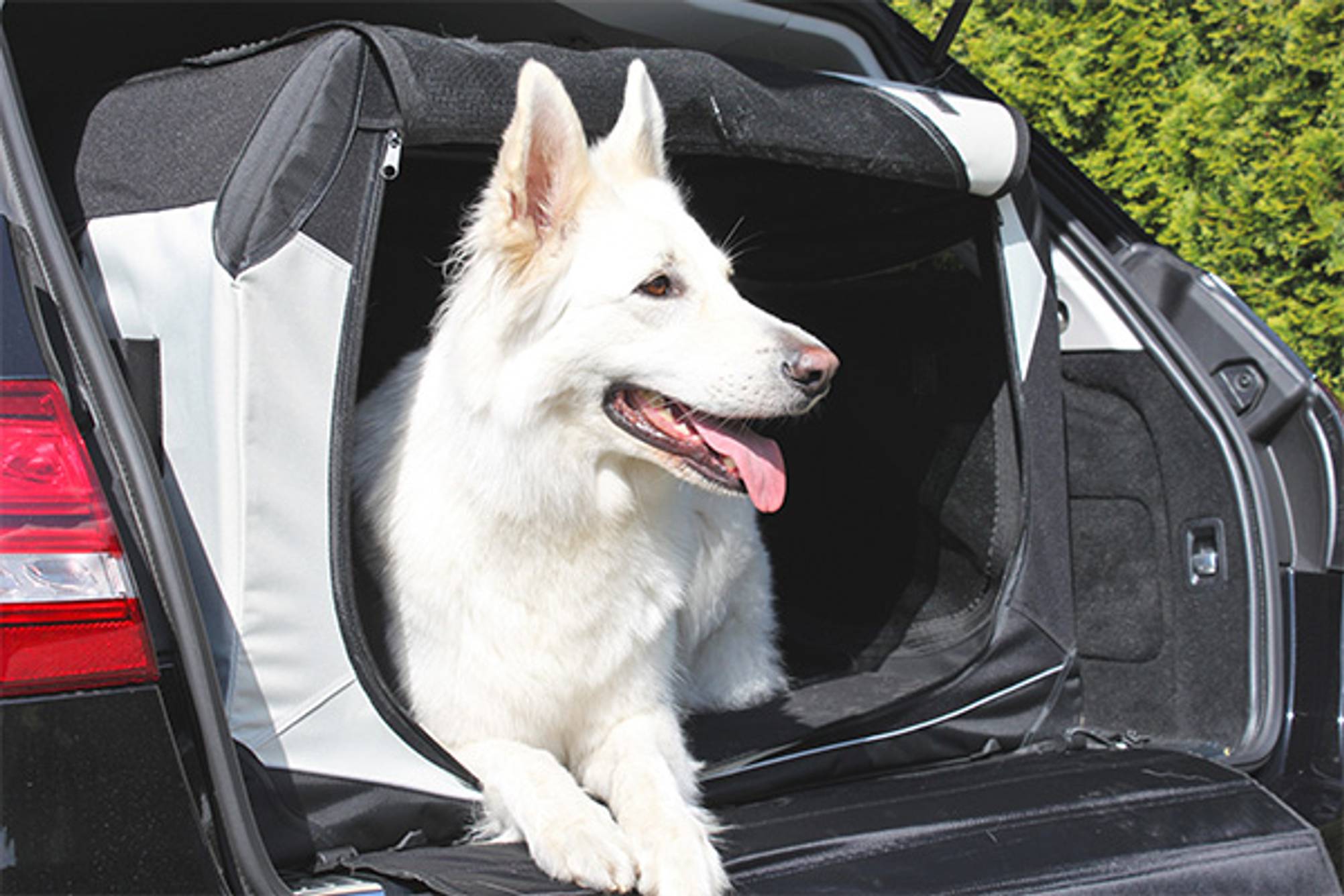 Fabelhafte Auto Hundebox Rucksitz Ebenbild