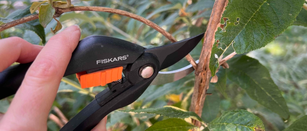 Gartenschere im Test: Jemand schneidet mit einer Fiskars-Gartenschere einen kleinen Ast ab.