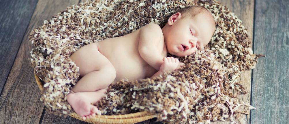 babywippe elektrisch Vergleich