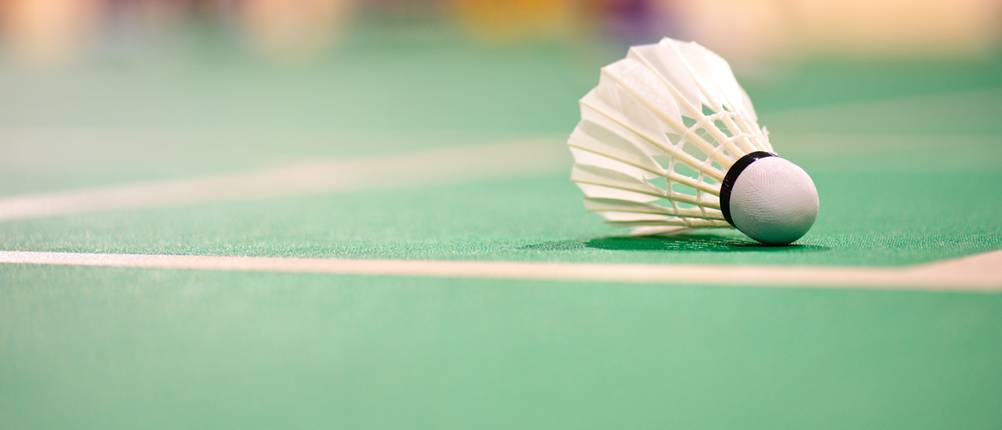 Badmintonschläger Ball