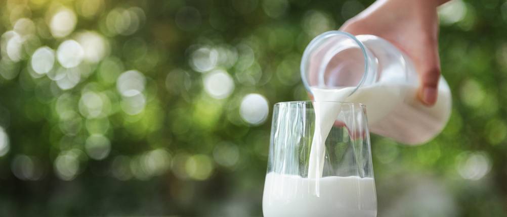 Bärenmarke-Milch-Test
