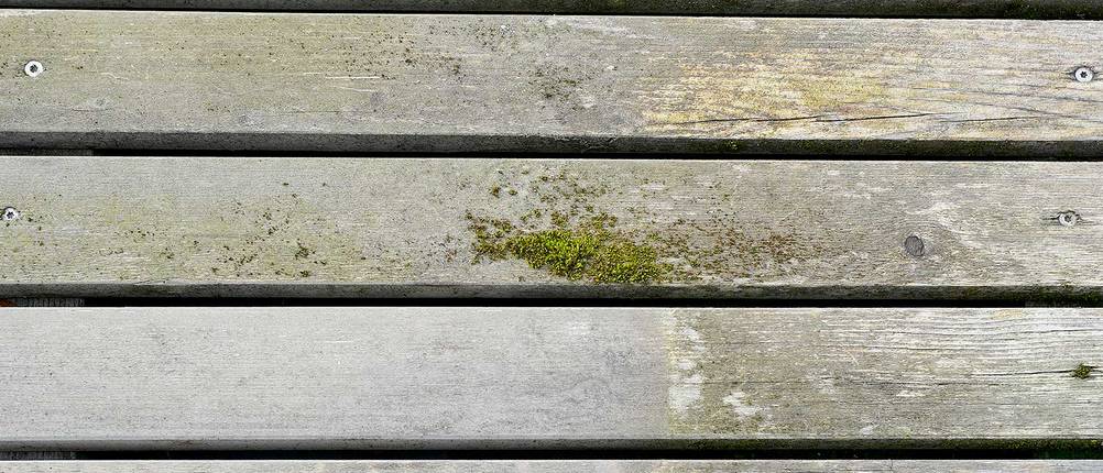 balkon-reinigen-gruenbelag