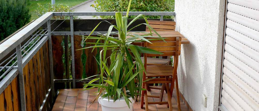 balkon-reinigen-vor-putzen