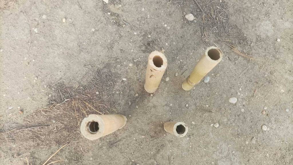 Getestet: Bambusröhrchen stehen auf einem Sandboden und zeigen ihre Hohlräume.