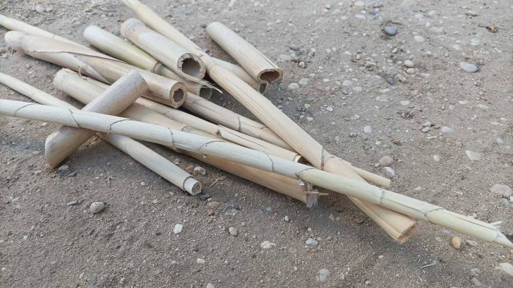 Mehrere verschieden lange Bambusröhrchen im Testliegen auf einem Sandboden.