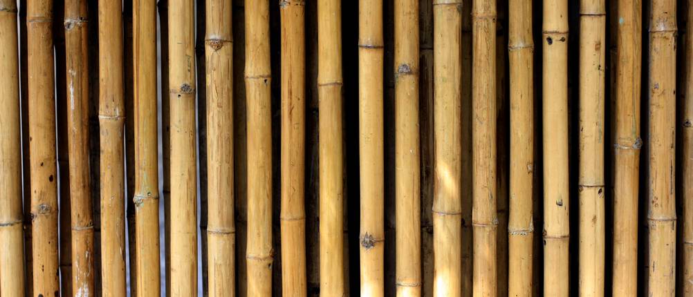 bambusrohre-test