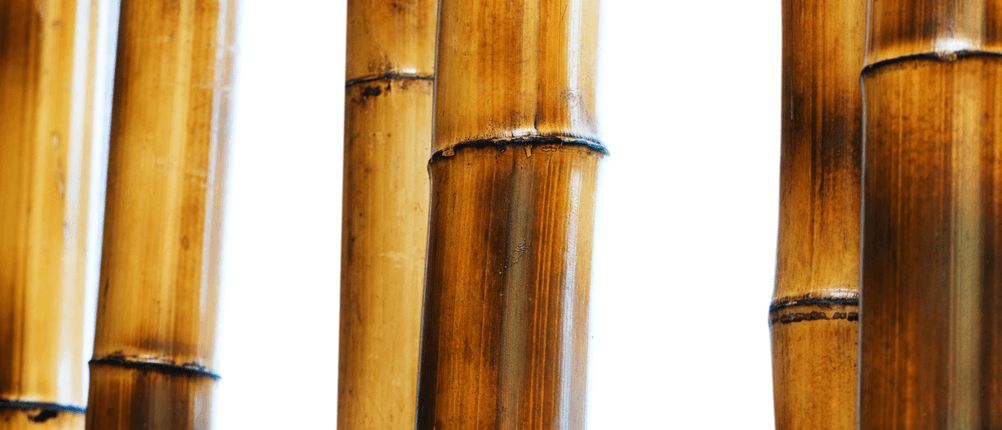 bambusteppich-test
