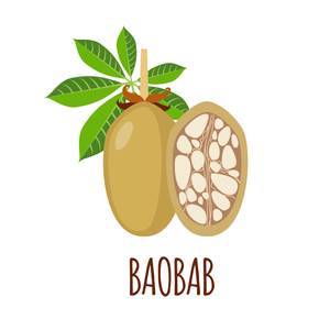 Baobab Frucht