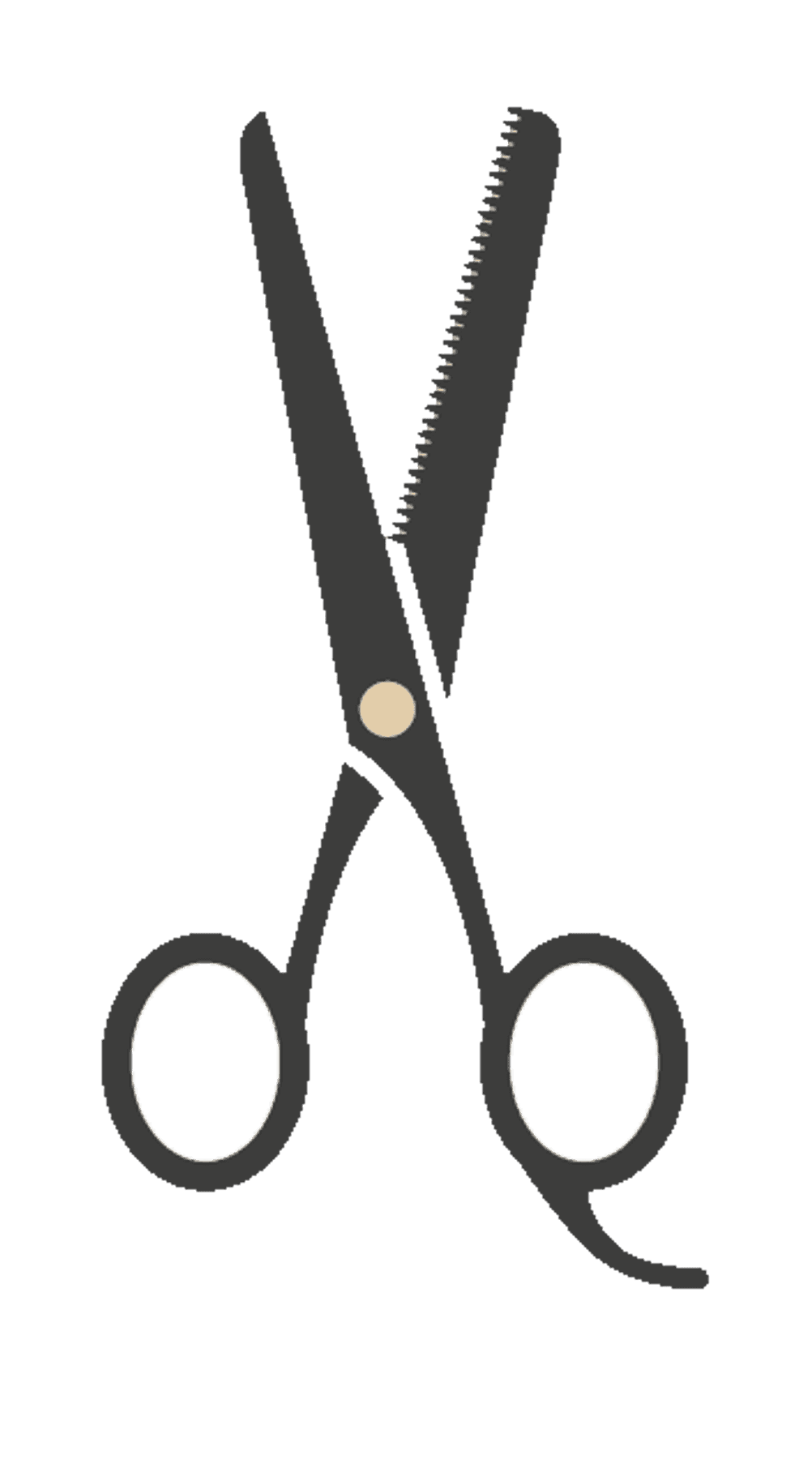 bartpflege-icon3
