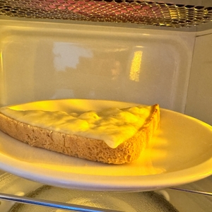Überbackener Toast in der Bauknecht MW 254 SM