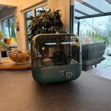 Der Bear ‎JSQ-F50D2 steht auf einer Küchenarbeitsplatte