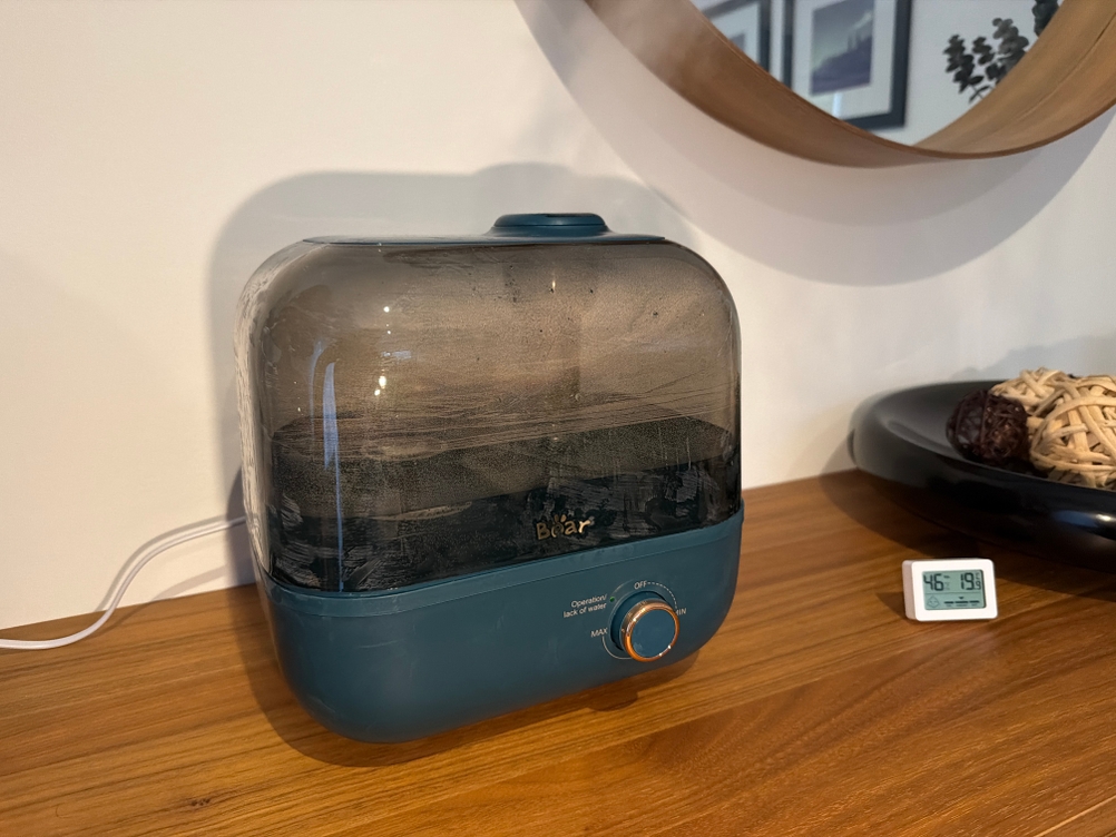 Der Bear ‎JSQ-F50D2 steht auf einem Sideboard