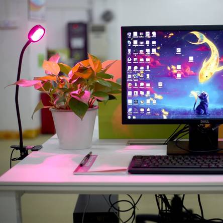 tischkantenbefestigung