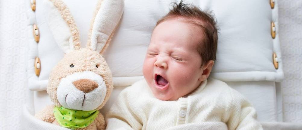 beistellbett test hase