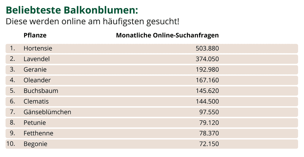 beliebteste-balkonblumen-infografik-top-10