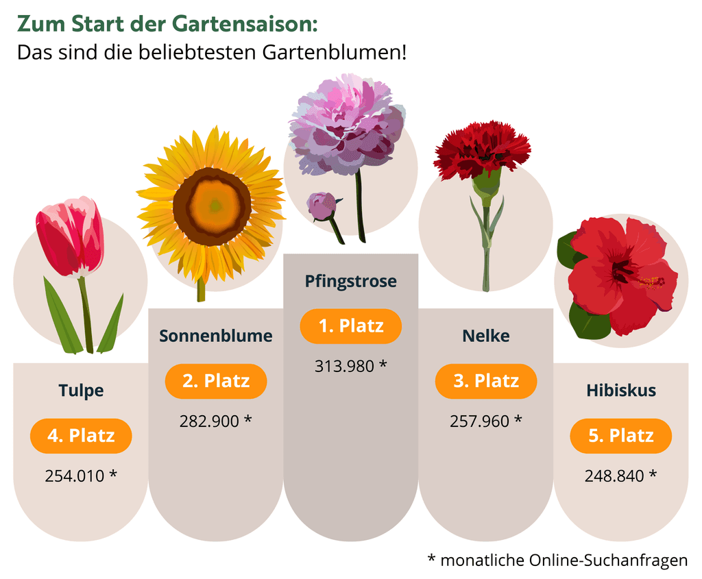 beliebteste-gartenblumen-infografik-top5
