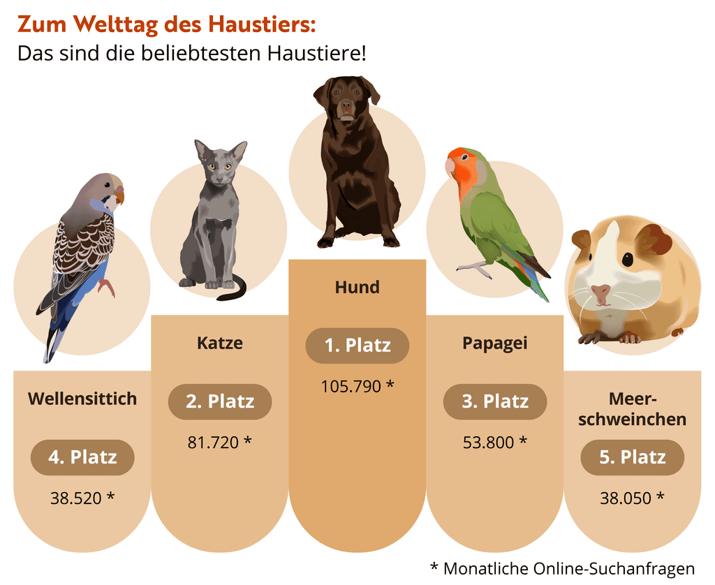 beliebteste-haustiere-infografik-top-5
