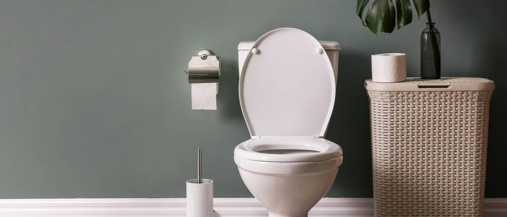 bernstein wc test