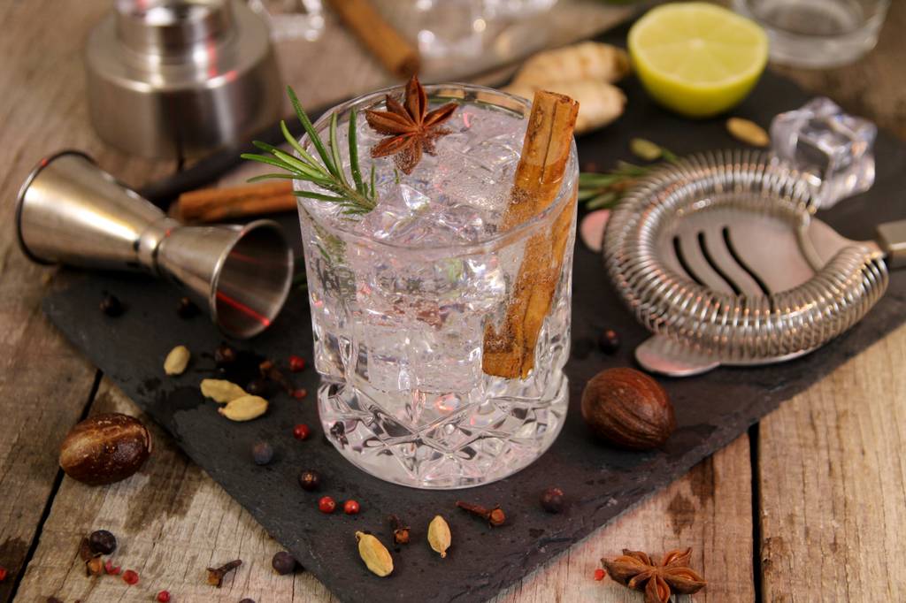 Gin-Tasting-Sets im Test: Ein Gin-Glas, das mit vielen Botanicals und Zubehör ausgestattet ist.