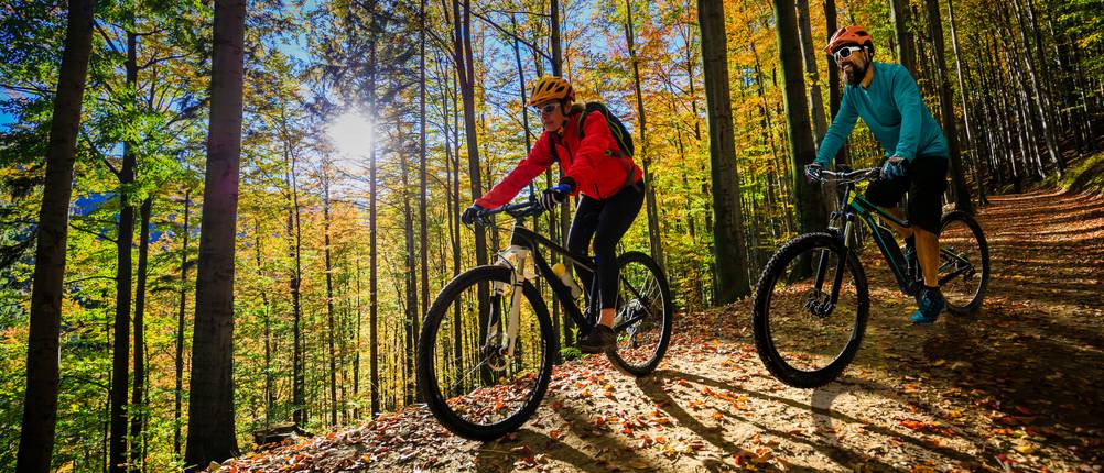 Bikestar-Mountainbike-Test
