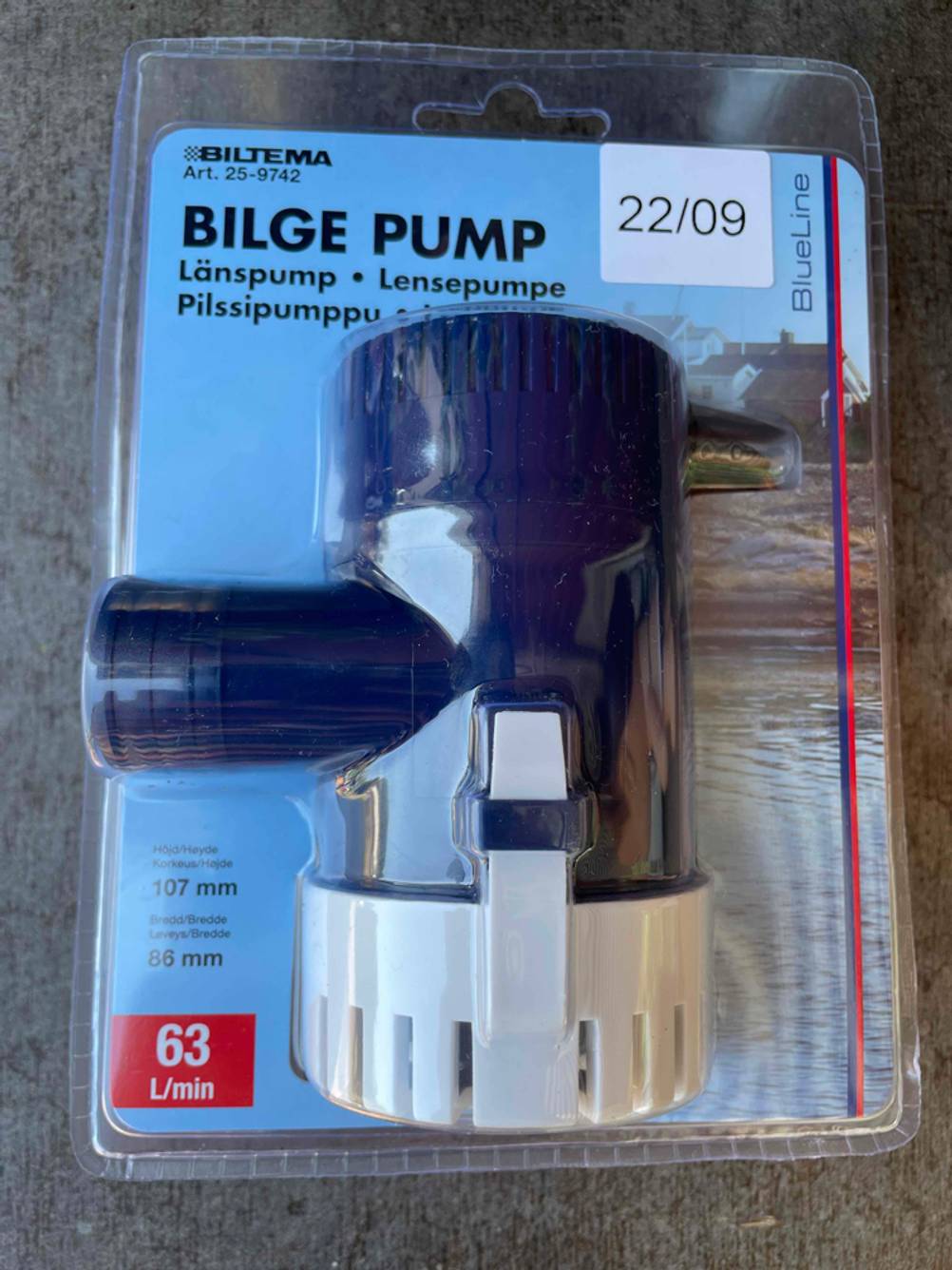 Bilgenpumpe-Test