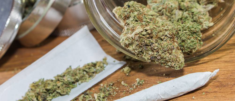 Cannabis-Dünger getestet: Umgekipptes Gefäß mit getrocknetem Cannabis liegt hinter zwei Joints auf einem Holztisch.
