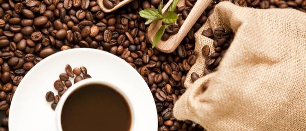 bio kaffee entkoffeiniert test