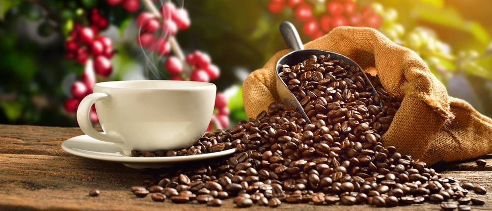 Bio-Kaffee Test