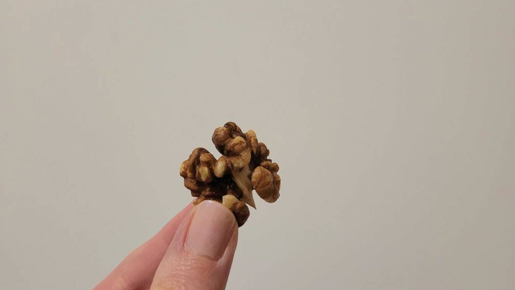 Eine Hand hält eine getestete Bio-Walnuss vor eine helle Fläche.