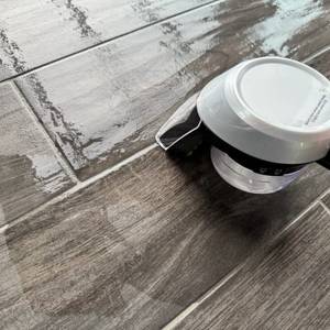 Reinigung auf dem Boden mit viel Wasser beim Bissell 15585 SpotClean Pet Pro Portable