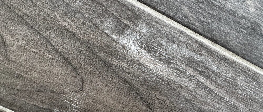 Stärkereste auf dem Fliesenboden nach der Reinigung mit dem Bissell 15585 SpotClean Pet Pro Portable