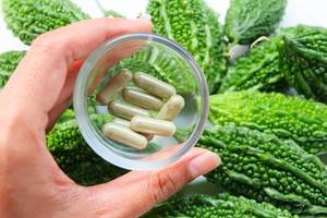 Bittermelone-Kapseln-Test: Bittermelone-Kapseln in einer kleinen Glasschüssel. Dahinter liegen mehrere ganze Bittermelonen. 