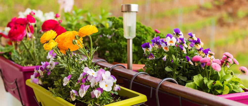 Blumenkästen mit Wasserspeicher Test