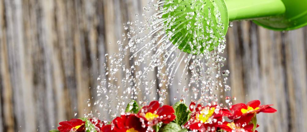 Blumenkästen mit Wasserspeicher Vergleich