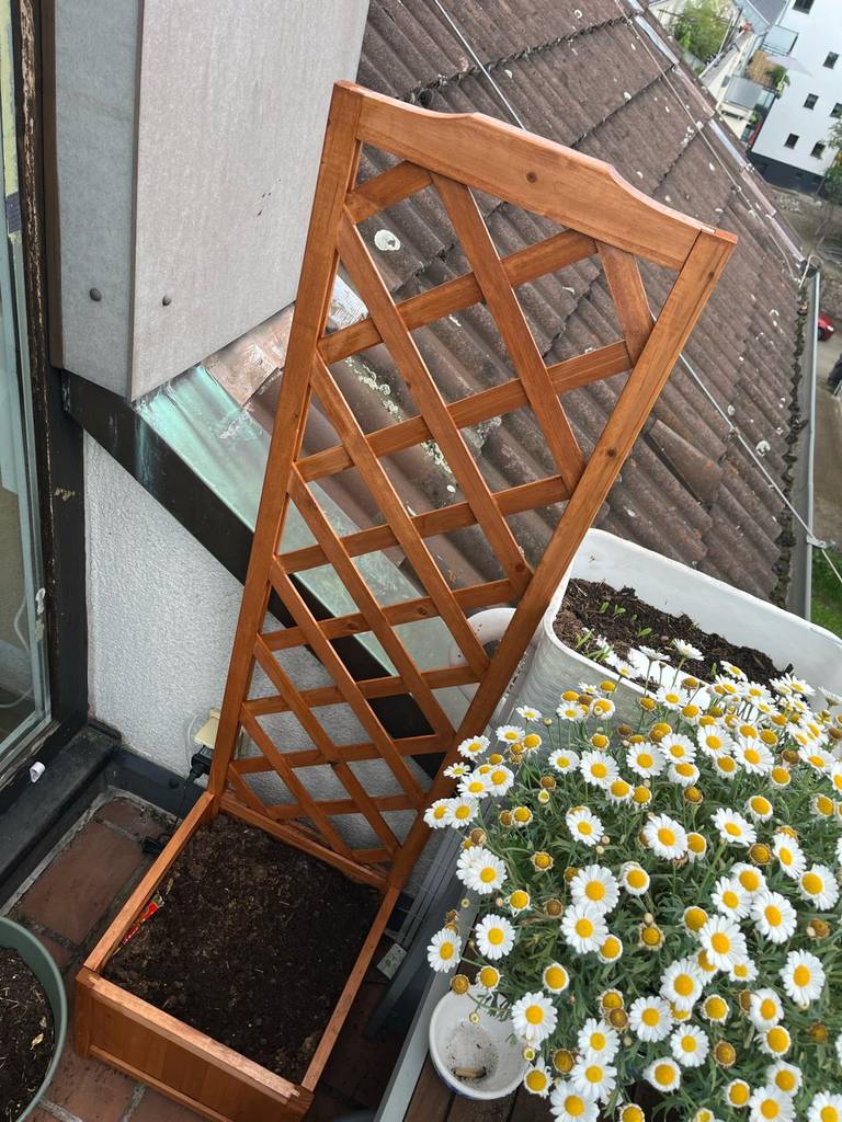 Ein getesteter Blumenkasten mit Rankgitter aus Holzstreben steht auf einer Dachterrasse.