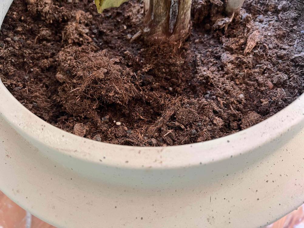 Im Test: Nahaufnahme des Randes eines Blumentopfes.