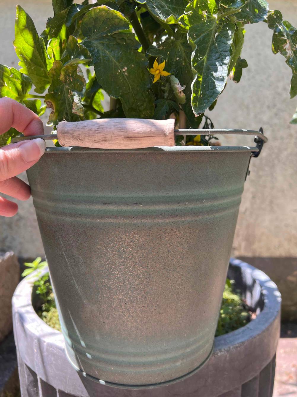 Ein grauer Blumentopf mit Handgriff
