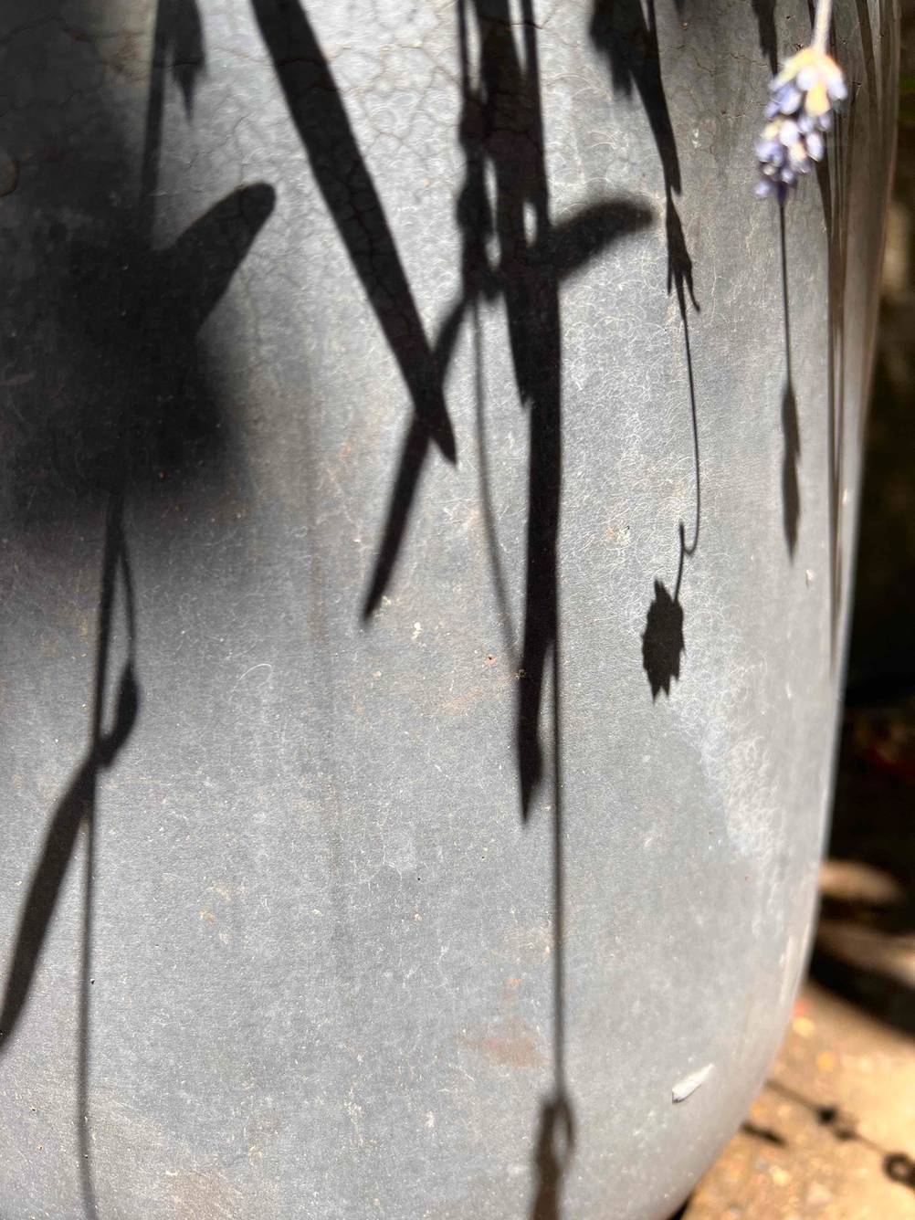 Getestet: Nahaufnahme eines Beton-Blumentopfes in der Sonne mit Schatten von Pflanzen.