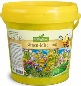 blumenwiese-samen-dürr