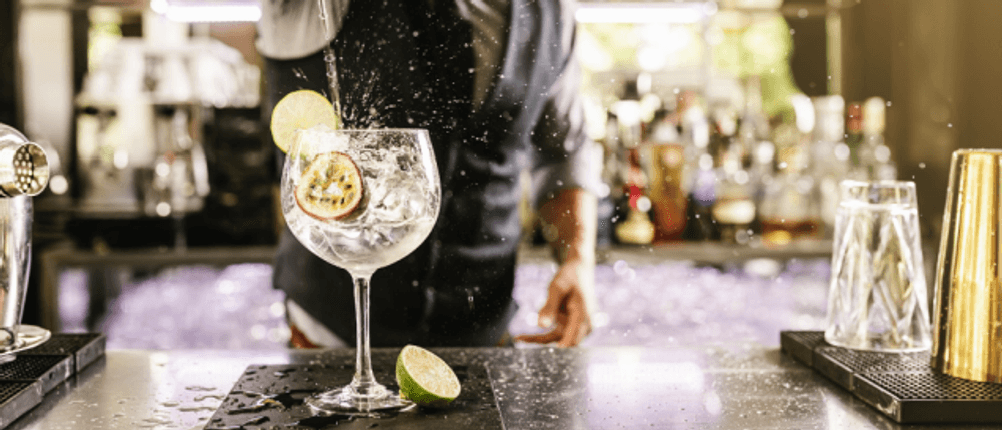 böser kater gin test