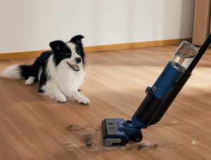 Bomann-Staubsauger-Test: Ein kleiner Hund sitzt vor einer Person die Staub saugt.