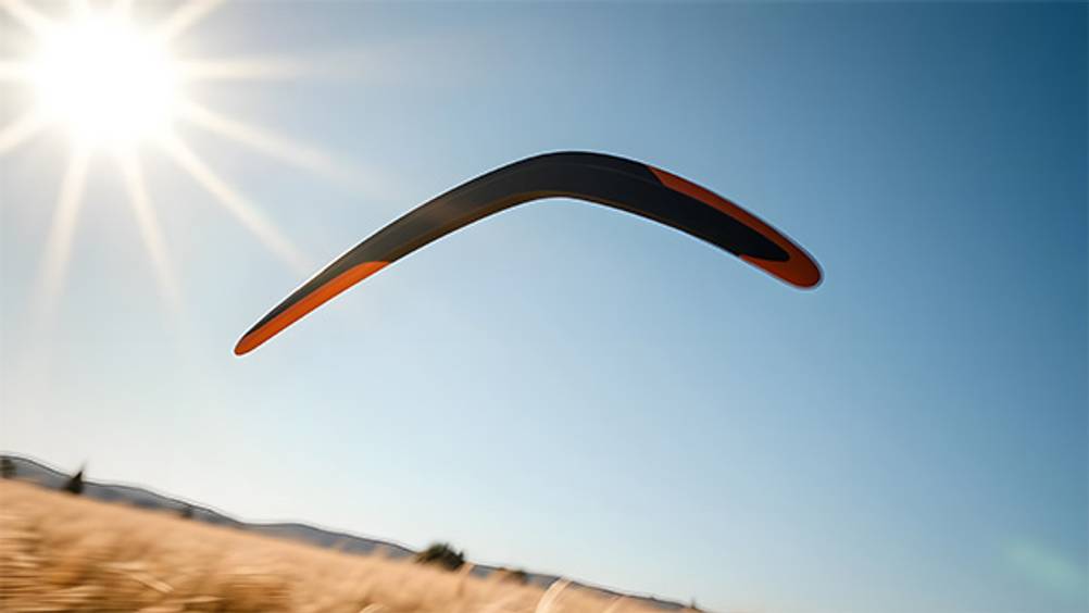 Boomerang im Test: Ein Boomerang im Flug.