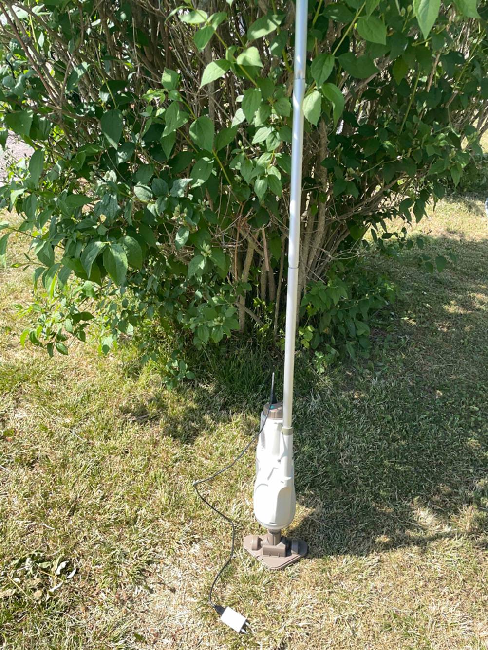 Getestet: Ein Akku-Poolsauger lehnt an einem Busch im Garten.
