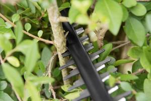 bosch-ahs-55-20-li-akku-heckenschere