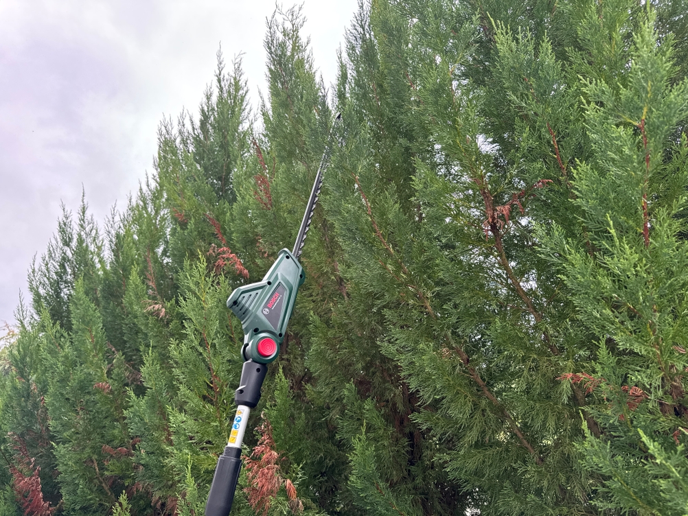 Hohe Hecken werden mit der Bosch Universal HedgePole 18 geschnitten