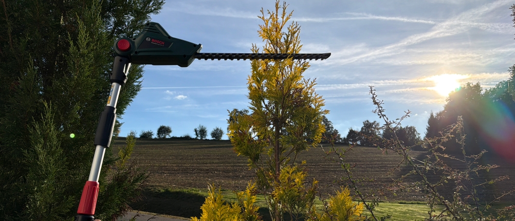 Mit der Bosch Universal HedgePole 18 wird die Spitze einer Hecke geschnitten