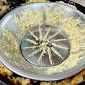 Nahaufnahme des Edelstahl-Filters im Bosch VitaJuice 3 MES3500 nach der Verarbeitung von Ingwer. Fasern und Tresterreste sind an den feinen Sieblöchern sichtbar.