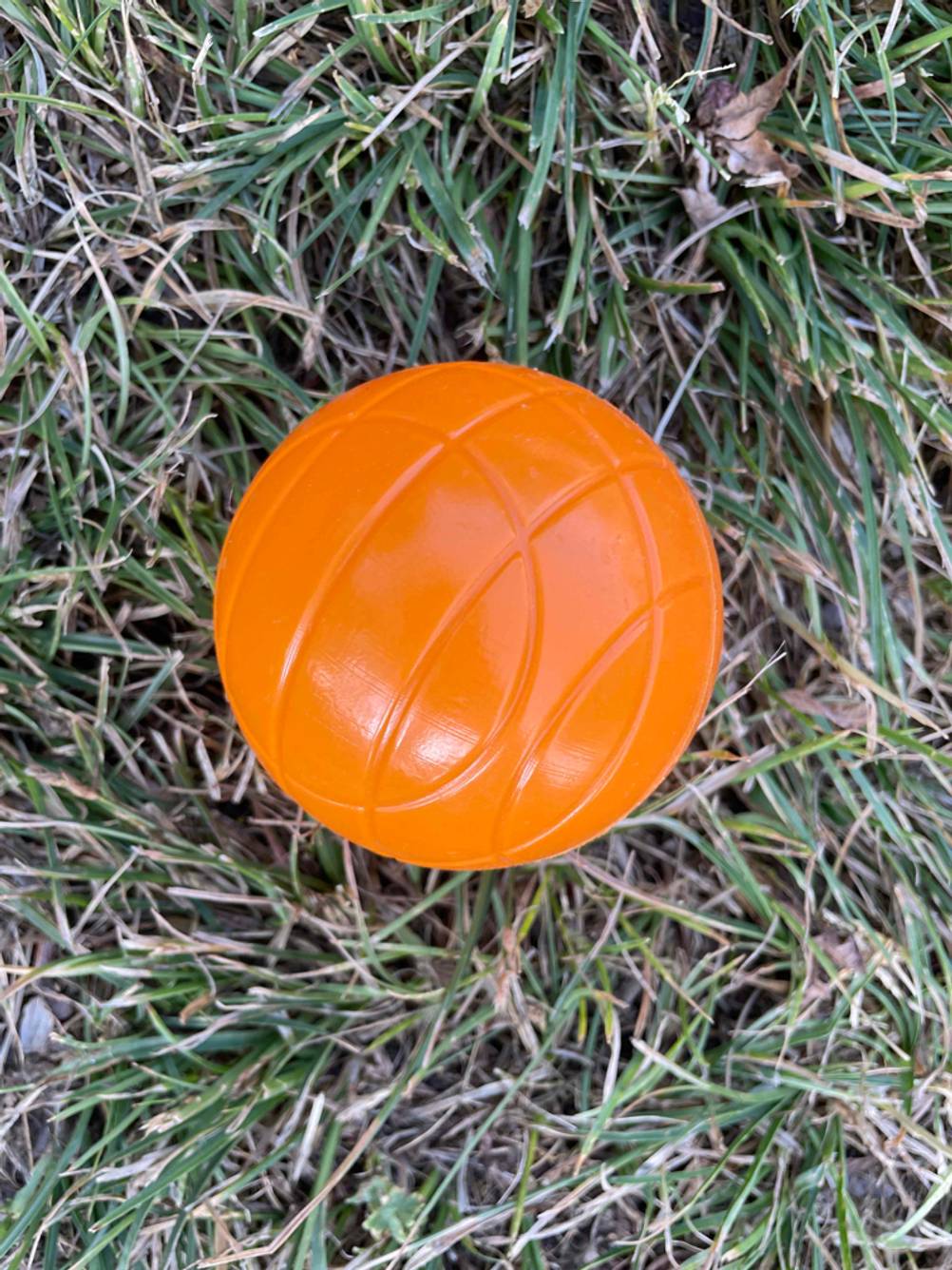 Boule getestet: Ein orangener Ball in Nahaufnahme im Gras.